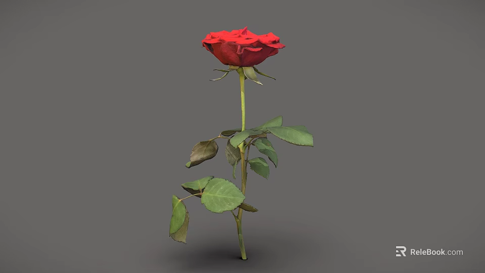 Realistic 3D Model of Red Rose with Green Stem and Lush Leaves on Gray Background 3d model 