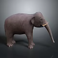 Realistic Grey Elephant 3D Model With Tusks Standing On Dark Background 3d model