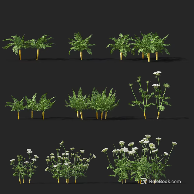 Diverse Green Crops Collection Featuring Ferns and White Flowering Plants 3d model 