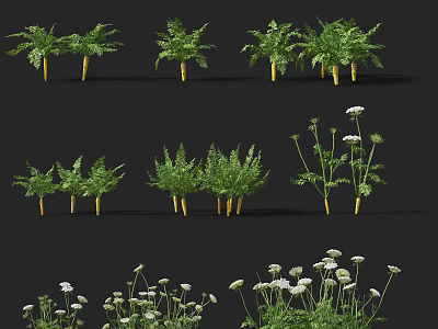 Diverse Green Crops Collection Featuring Ferns and White Flowering Plants 3d model