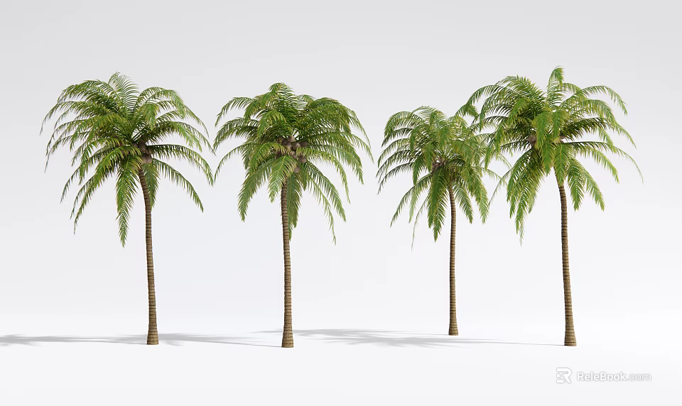 Green Palm Trees With Lush Fronds And Brown Trunks In Row 3d model