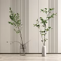 Clear Glass Vase and White Ceramic Vase with Green Foliage Against Vertical Striped Wall