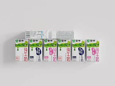 Milk Mengniu Pure Milk Packaging Box model