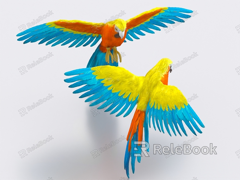 Parrot starling macaw budgie parrot bird bird model