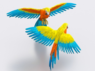 Parrot starling macaw budgie parrot bird model