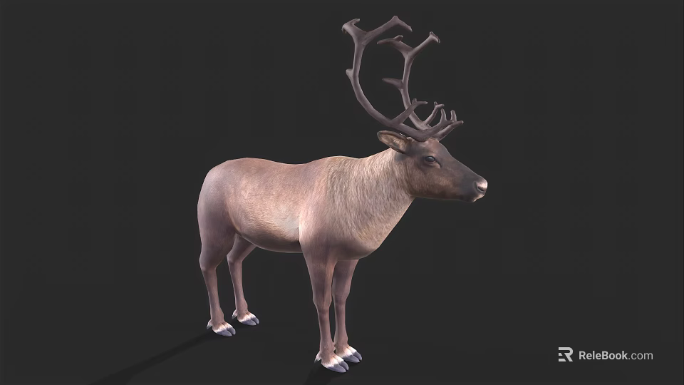 Realistic Reindeer Model With Large Antlers And Light Brown Body Against Black Background 3d model 