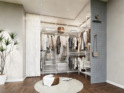 Modern Closet Interior Design With Hanging Clothes White Shelves Round Rug And Plants 3d model