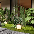 Modern Outdoor Plant Combination with Large Greenery Cacti Ferns Lawn and Round White Lights