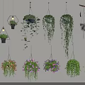 Indoor Decorative Hanging Basket Plants With Colorful Flowers And Trailing Leaves