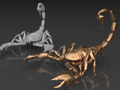 Two Golden And Gray Scorpion Reptile Models On Gray Background With Reflection 3d model