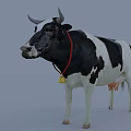 Black and White Farm Cow Standing With Red Collar And Bell