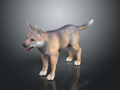 Realistic 3D Dog Puppy Model With Brown Gray Fur Standing On Dark Reflective Background 3d model