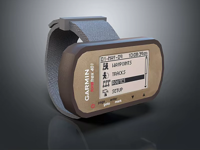 Garmin Smart Watch With Workout Tracking Tracks Setup Display And Gray Strap 3d model