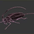 Brown Longhorn Beetle With Extended Antennae And Detailed Exoskeleton On Gray Background