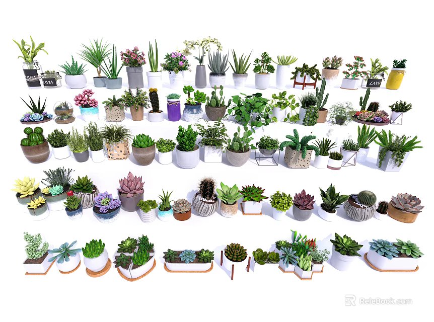 Diverse Bonsai and Potted Plants with Different Decorative Pots for Indoor Outdoor Decor 3d model 