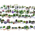 Diverse Bonsai and Potted Plants with Different Decorative Pots for Indoor Outdoor Decor