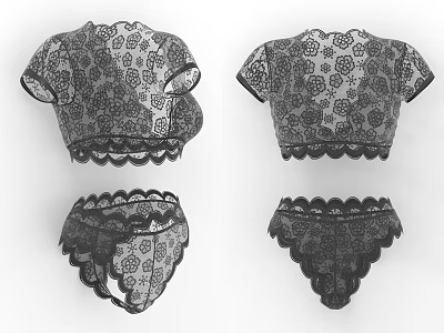 Black Lace Top and Panties Set With Patterned Design And Lace Trim 3d model