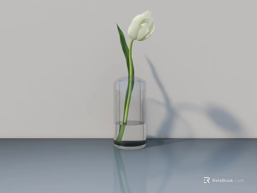 Transparent Glass Vase With White Tulip Flower On Gray Tabletop Light Background 3d model 