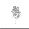 Snow Covered Arbor With Icy Hanging Branches And White Brown Trunk
