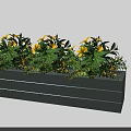 Lush Green Leaves And Vibrant Yellow Flowers In Rectangular Green Planter