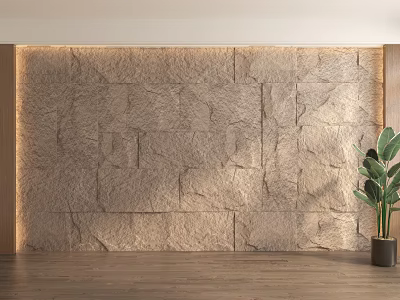 Modern Minimalist Stone Background Wall Design With Wooden Floor And Green Plant 3d model