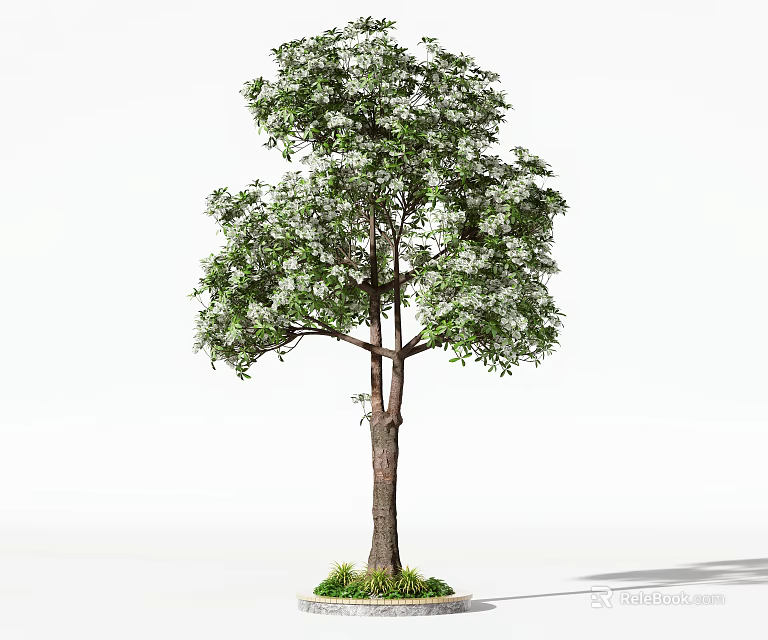Tall Lush Arbor With Green Leaves Brown Trunk And Grass Base On White Background 3d model 