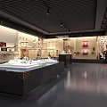 Museum Exhibition Hall Interior with Display Cases Ancient Artifacts and Visitor Exploring