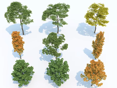 Variety of Arbor Trees with Green Yellow Orange Foliage and Natural Shadows in Different Shapes 3d model