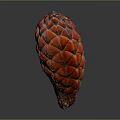 Red Scaly Plant Fruit with Cone Like Shape on Gray Gradient Background and Reflective Surface