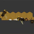 Flying Insect Bees In Honeycomb Structure With Larvae Pupa And Adult Life Stages