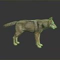 Realistic 3D Wolf Model With Detailed Fur And Natural Stance On Dark Surface