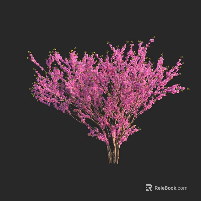Blooming shrub with dense clusters of vibrant pink flowers and slender branches 3d model 