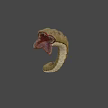 Brownish Yellow Segmented Creature 3D Model With Open Mouth And Sharp Teeth