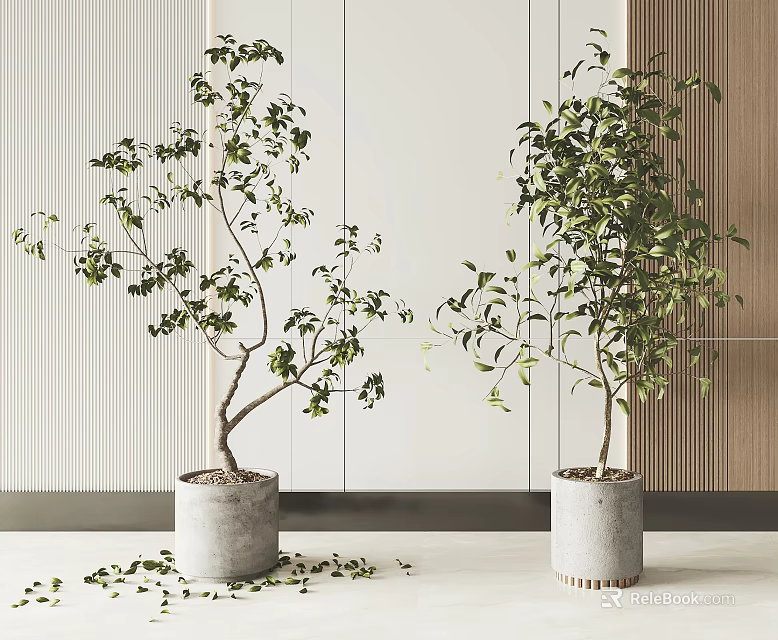 Potted Bonsai Plants In Concrete Pots With Green Foliage And Scattered Leaves 3d model 