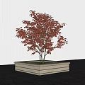 Square Stone Tree Planter with Red Leaf Tree and Black Ground 3d model