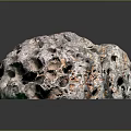 Stunning Green Porous Coral Structure With Intricate Natural Hole Patterns