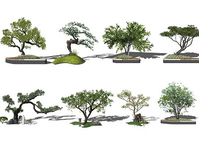 Various Arbor Trees with Distinctive Shapes and Lush Green Foliage in Landscape 3d model