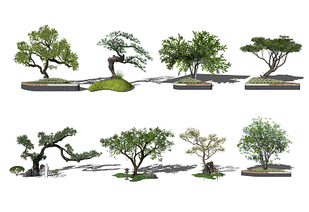 modern tree landscape tree arbor 3d model