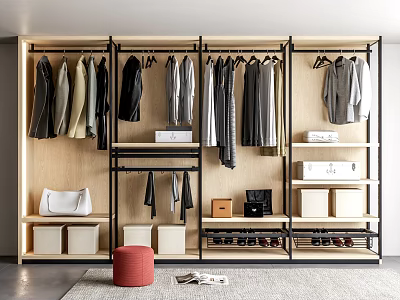 Modern Wooden And Metal Wardrobe Interior Design With Hanging Clothes Storage Boxes And Shoes 3d model