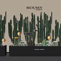 Various Cactus Bonsai Plants Arranged in Black Pots for Home Decor