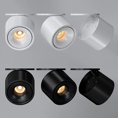 Modern White And Black Downlights And Spotlights With Sleek Design And Warm Lighting 3d model