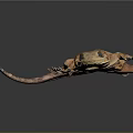 Detailed Brown Gecko With Textured Skin And Large Eyes On Black Background