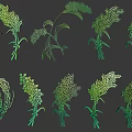 Green Gradient Plant Illustrations Featuring Various Cereal Grains And Herbs On Dark Background