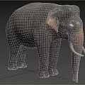 Gray Elephant Standing On Green Grassland With Long Tusks And Ears