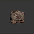 Developing Human Fetus Inside Uterus in Natural Fetal Position 3D Rendering