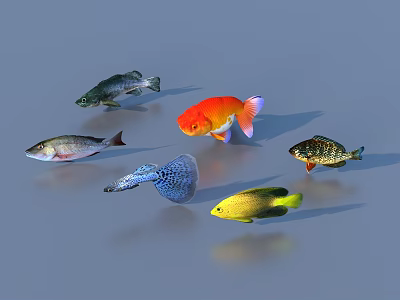 Vibrant Aquatic Animals Featuring Goldfish Tropical Fish And Colorful Species 3d model