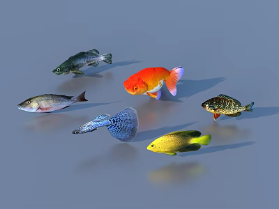 Fish Freshwater Fish Sea Fish Animal Game Animal 3d model