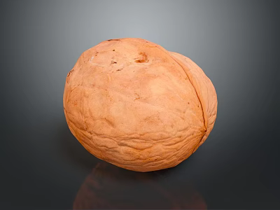 Single Whole Natural Walnut with Rough Shell on Dark Shiny Surface 3d model