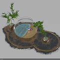 Transparent Glass Fish Tank With Blue Water Sand And Green Plants On Cloud Shaped Mat