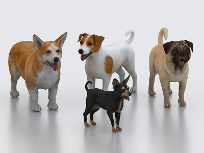 Realistic 3D Dog Models Featuring Different Breeds in Standing Poses on White Background 3d model